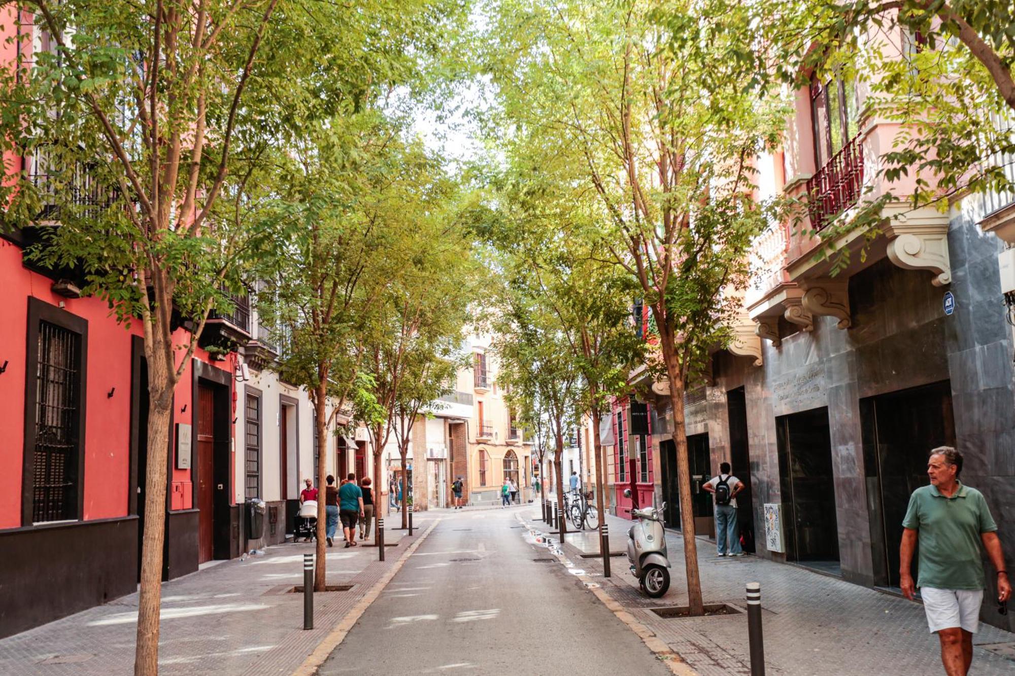 Monkeys Apartments Cervantes Sevilla Eksteriør bilde